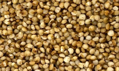 Kodo Millet Kodo Millet